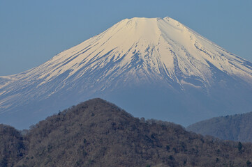 Fototapeta premium 丹沢の丹沢主稜 大室山より望む富士山 丹沢 大室山より富士山、その手前左が畦ヶ丸 