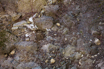 Bones and skulls of animals that fell off a cliff onto rocks. Creepy hiking trails. Background