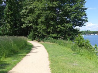 Grüner Garten