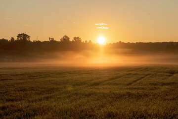 sunrise in fog over field