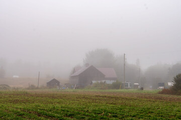 mist over a field