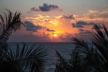 sunset in the maldives island wtih palms tree