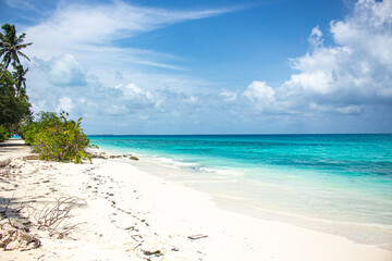 beach in maldives island paradise with turquesa water