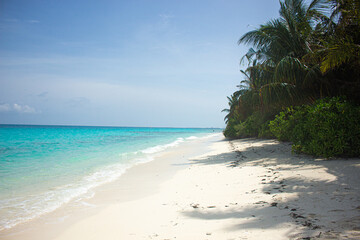 beach in maldives island paradise with turquesa water
