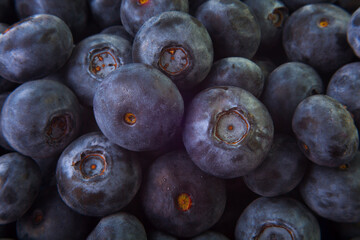 fresh blueberries background whortleberry bilberry organic berries close up background