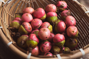 Fresh Kalangkala or Litsea Angulata Fruit