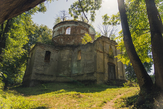Damaged exposed brick exterior of abandoned church with tower and no roof in green forest. Old christian architecture. Lubycza Krolewska. Horizontal shot. High quality photo
