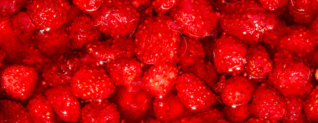 Strawberry is a forest berry.Strawberries in sugar.Ripe strawberries background.Wild strawberries are a family of pink.