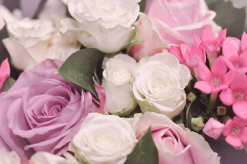Close up of fresh pink,white and violet roses bouquet, gift for women