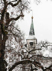 Steeple Behind Snow Covered Branches