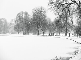 People Walking on Path in snow through the Woods in a Park