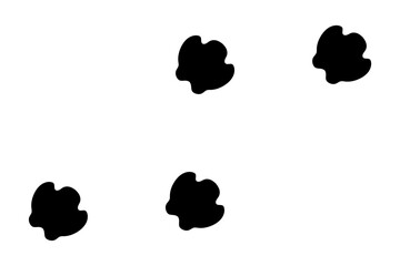 サイの足跡 © yotto