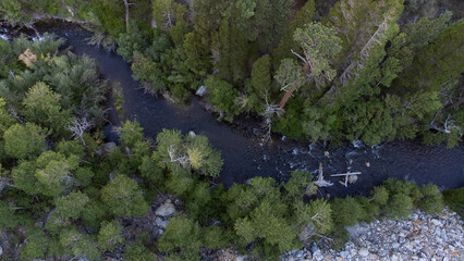 Looking down at stream cascading through forest 