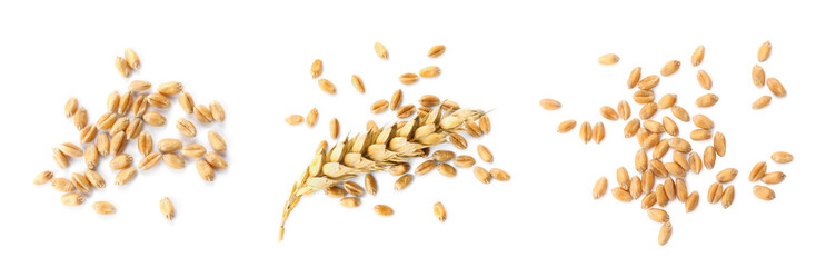 Set with wheat grains on white background, top view. Banner design