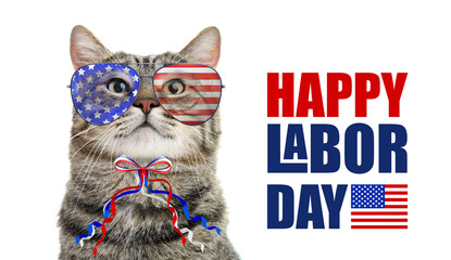 Happy Labor Day. Cute cat with sunglasses and bow in colors of American flag on white background