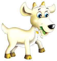 Fototapeta premium Cartoon happy horned goat is running moving isolated illustration for children