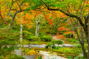 Natural landscape, Leaf, Temperate broadleaf and mixed forest