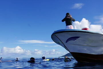 Swim with dolphin in Chuuk, Micronesia Chuuk state of Federated States of Micronesia.