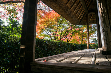 京都 金福寺から眺める鮮やかな秋景色