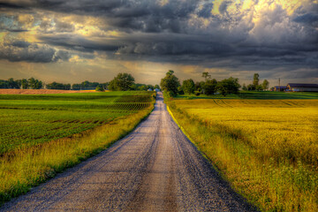 Country road between fields of wheat and soy beans under stormy clouds. 
