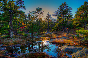 Fototapeta na wymiar Piney Glade Pickle Springs Nature Area After the storm when depressions on the glade fill in with water and create reflections of the landscape. 