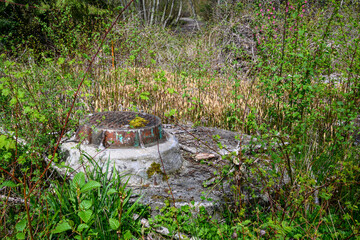Raised sewar opening with iron cover in a natural woodland setting
