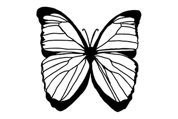 Beautiful butterfly Line Art vector