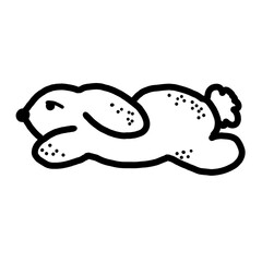 Rabbit is running, black and white