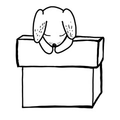 A puppy in the box, black and white