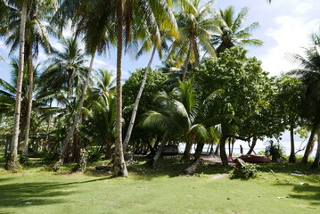 Pis island at Truk lagoon in Chuuk state of Micronesia
