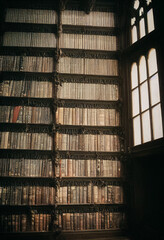 3d rendering of a gothic library with numerous books and bookshelfs fantasy concept for halloween and other gothic moments with dark mood