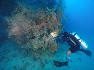 Japanese navy destroyer Fumitsuki in WW2. Here is the world's greatest wreck diving...