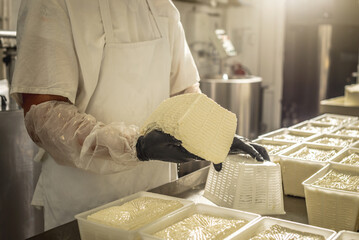 Man is a cheese maker in the process of producing different varieties of cheese in the industry. Milk cheese making