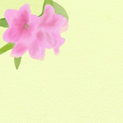 Pink flowers with yellow background