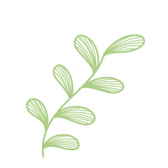 green leaves background