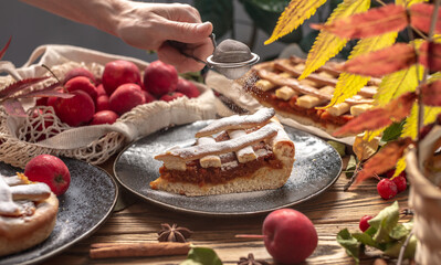 Hand of person is sprinkling a piece of delicious apple pie with powdered sugar. Concept of a cozy autumn atmosphere with the smell of fresh pastries