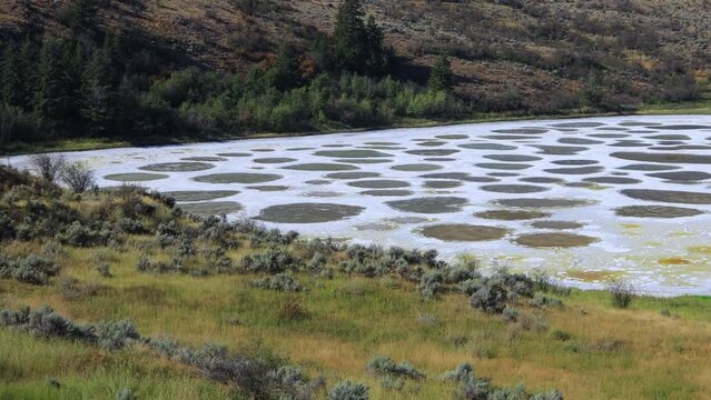 Spotted Lake Osoyoos Similkameen Valley