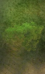 High angle view tree and green grass nature scene 3D rendering landscape wallpaper backgrounds