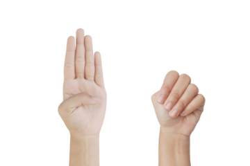 Close up Asian female15-20 age hand show Number four finger, sign arm and hand isolated on a white background copy space symbol language