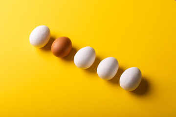 High angle view of brown and white eggs arranged side by side on yellow background with copy space