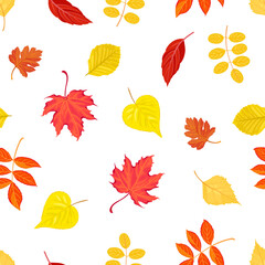 Obraz premium Botanical autumn background. Seamless pattern with colorful fallen leaves of maple, linden, birch, elm, acacia and elderberry. Vector cartoon illustration of nature.