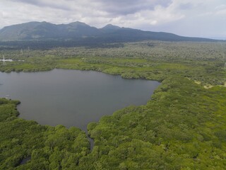 Fototapeta na wymiar Aerial view of West Bali National Park in Indonesia