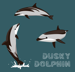 Obraz premium Dusky Dolphin Cartoon Vector Illustration