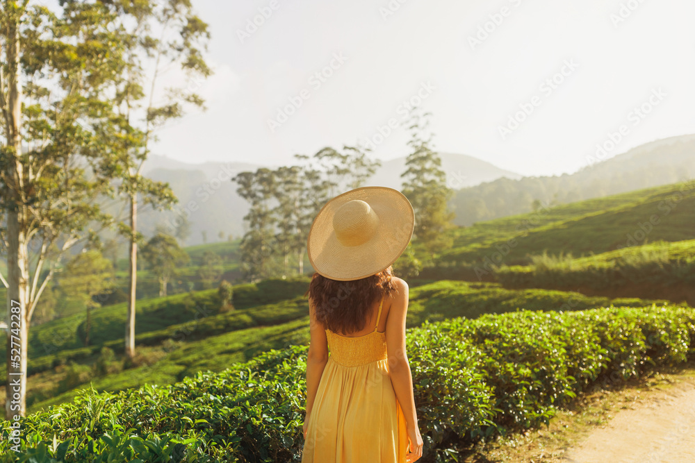 Wall mural Woman Traveler at The Tea Plantations in Nuwara Eliya, Sri Lanka