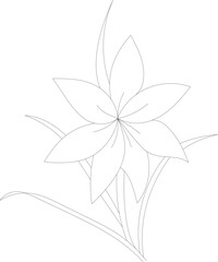 Floral coloring page for coloring