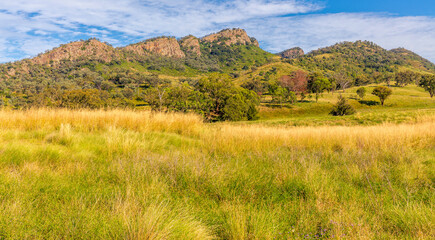 Fototapeta na wymiar Australian rural landscape