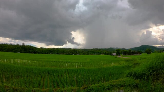 Time lapse of Nimbostratus clouds with rainfall during sunset over the green paddy fields near the farmer village in Northern Thailand