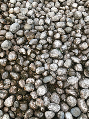 Stone lying on drying moss background