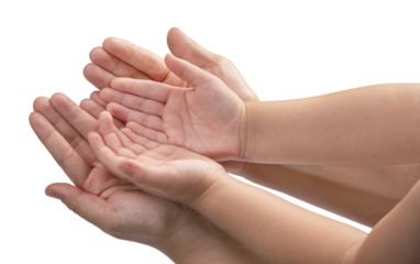 Mother and Child’s holding hands to receive something on white background, Mother and Kid hand on white background PNG file.