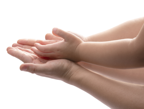 Mother and Child’s holding hands to receive something on white background, Mother and Kid hand on white background PNG file. - Powered by Adobe